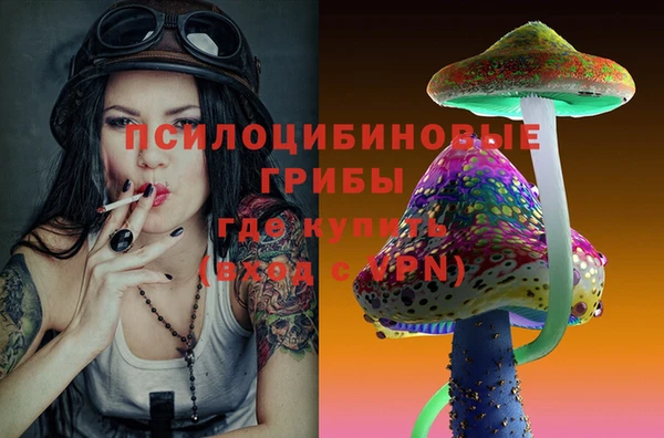 ECSTASY Заводоуковск