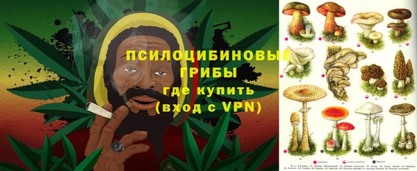 ECSTASY Заводоуковск