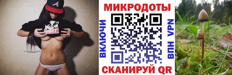 ссылка на мегу вход  как найти закладки  Среднеуральск  Псилоцибиновые грибы прущие грибы 